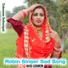 About Robin Singer Sad Song Song